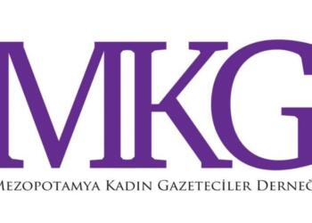 MKG ve DFG’den: Gözaltılar hakikat mücadelesine saldırıdır