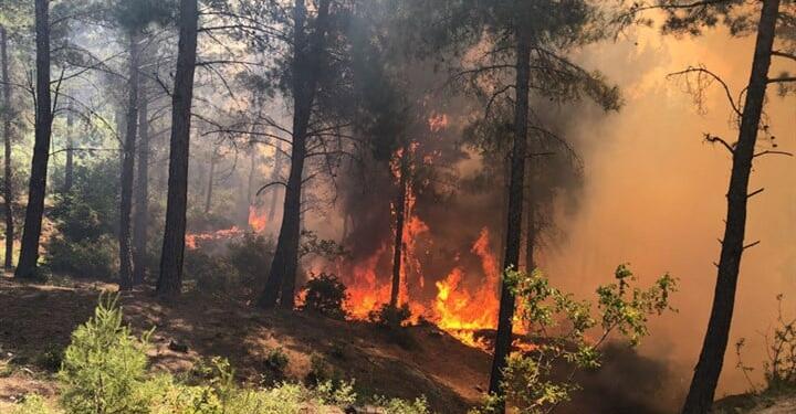 Hatay’da yangın rüzgarın etkisiyle evlere ulaştı