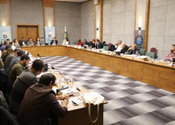 DEM Parti’li Amed Büyükşehir Belediyesi 8 ayda ne yaptı?