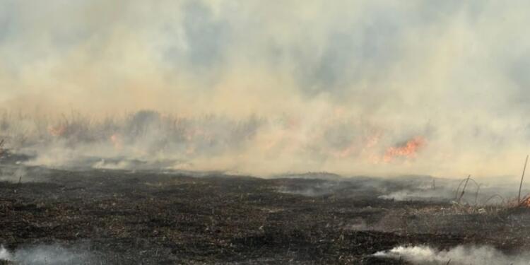Gever’deki Nehil Sazlığı yine yakıldı