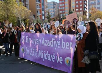 Wanlı kadınlardan 25 Kasım’a çağrı