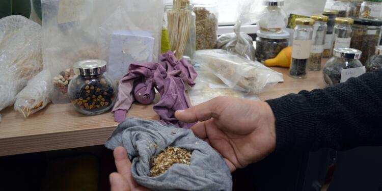 Amed’de Tohum Kütüphanesi kuruluyor