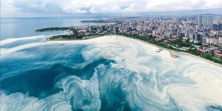 Marmara Denizi çöküşe gidiyor