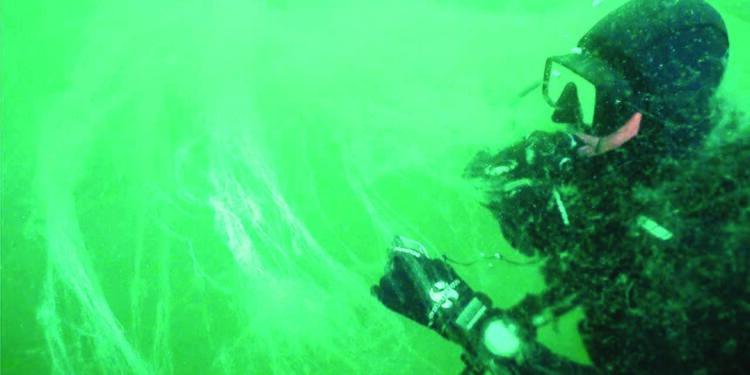 Müsilaj sonuç, nedeni sanayi