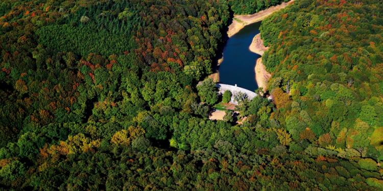 Belgrad Ormanları için yağma girişimi