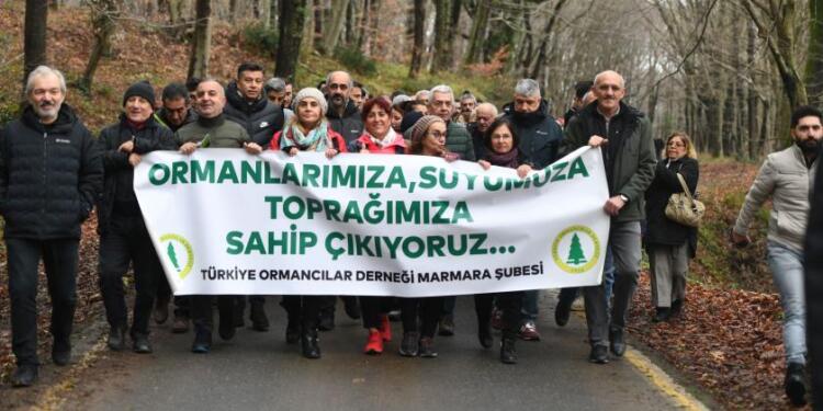 Belgrad Ormanı için eylem