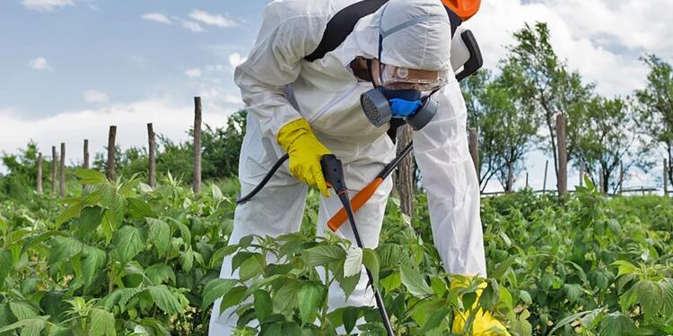 Türkiye’de zehirli gıda üretiliyor