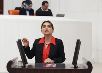 Gülistan Kılıç Koçyiğit: Türk bayrağı HTŞ’nin elinde, Kürtler sürgünde