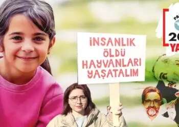 Memleket Meseleleri ve 2024 Üzerine Değinmeler