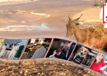 Çürümenin bir yılı