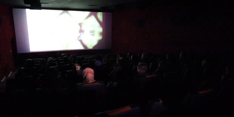 İHD’den film gösterimi: Kaplumbağalar da Uçar