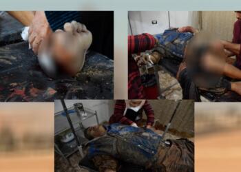 Amed Barosu’ndan Kuzey ve Doğu Suriye çağrısı