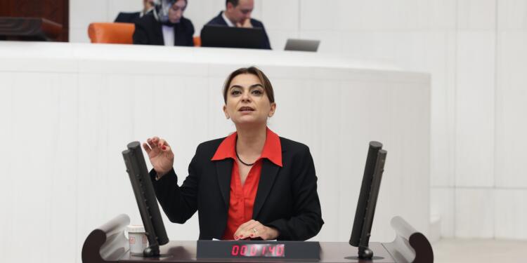 ‘YPG IŞİD’lileri tutarken, Türkiye neden serbest bırakıyor?’