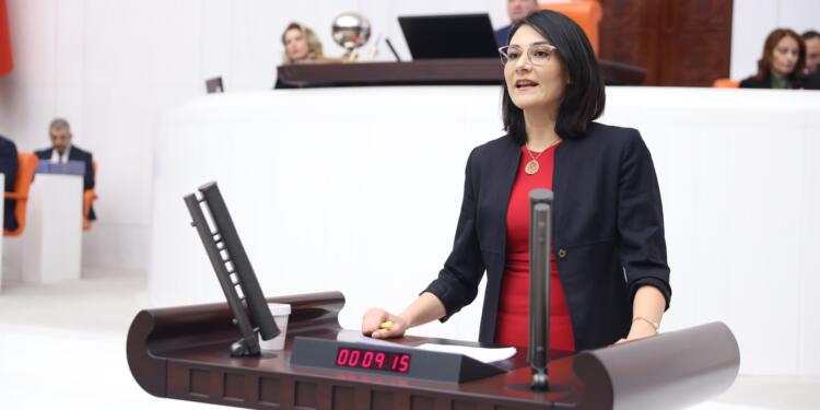 DEM Partili Demir: Siz zenginleştikçe halk fakirleşiyor