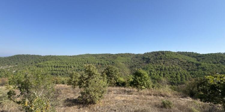 Altın madeni için halk toplantısı yapılacak