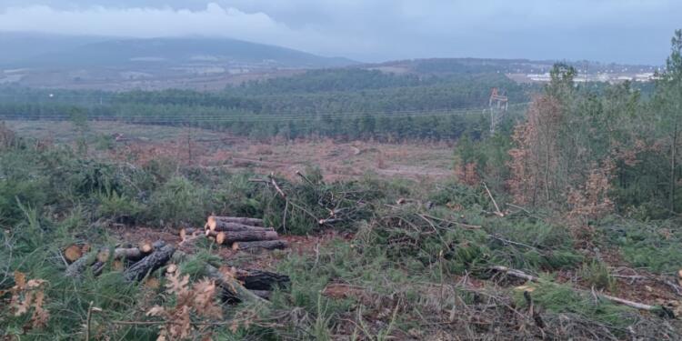 ‘Kaz Dağları’nda Cengiz’i durduramazsak hiçbir yerde durduramayız’