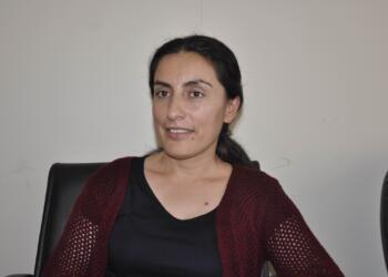 Gazeteci Kara hakkında yakalama kararı