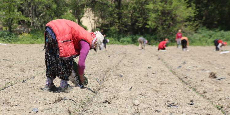 Çiftçiye koşullu şirkete tam destek