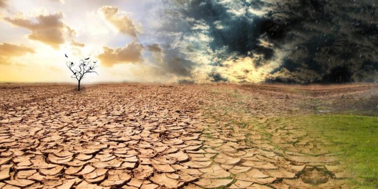 WMO raporu: İklim krizi dünyayı etkisi altına aldı