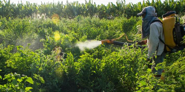 Avrupa’ya ihraç edilen 489 ürün iade edildi