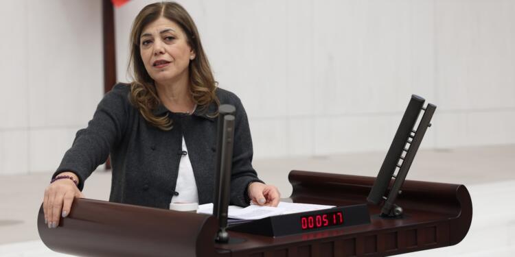 Meral Danış Beştaş: Yaşam hakkını savunanlar terörist değildir