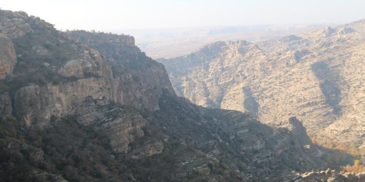 Ekolojik talanın olduğu bölgelere yasak