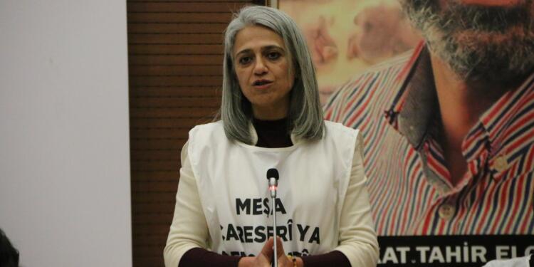 DBP Eş Genel Başkanı: Rojava, tarih yazan bir halkın mücadelesidir