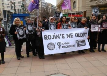 Kadınlar: Rojin Kabaiş soruşturması etkin yürütülsün