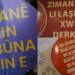 ‘Yaşamın her alanında Kürtçe olmalı’