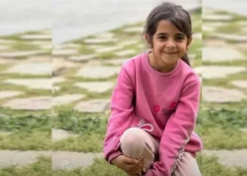 ‘Toplum olmasaydı dosya kapatılabilirdi’