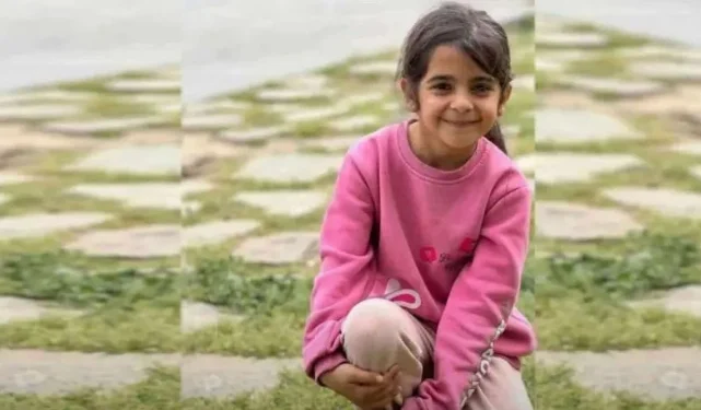 ‘Toplum olmasaydı dosya kapatılabilirdi’