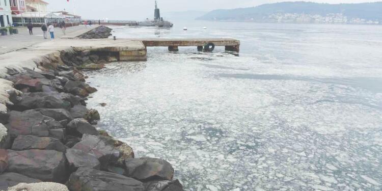 Müsilaj Marmara’yı örümcek ağı gibi sardı