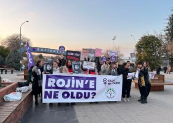 Dîloklu kadınlar Rojin Kabaiş’in akibetini sordu