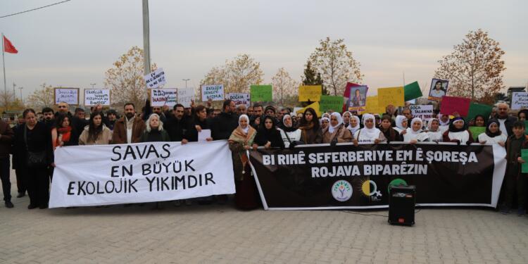 Ekolojistler Qamişlo sınırında: Rojava Ortadoğu için çözüm modelidir