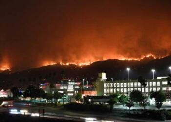 Los Angeles mahallelerinde yangın: Olağanüstü hal ilan edildi