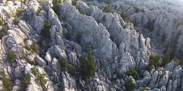 Cengiz Holding durmuyor