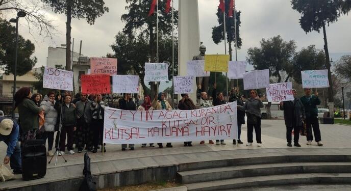 Tire’de yol projesi için ağaç kesimi başladı