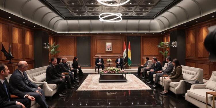 İmralı Heyeti’nin Federe Kürdistan’daki görüşmeleri sona erdi