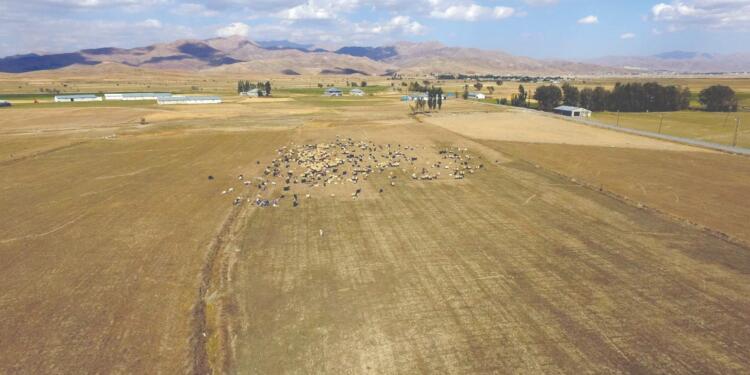 Kürt coğrafyasında tarım bitiyor