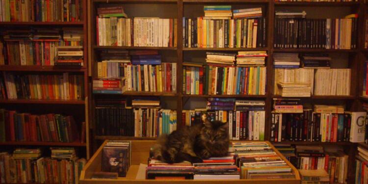 Fiyatlar sahaflığı bitiriyor