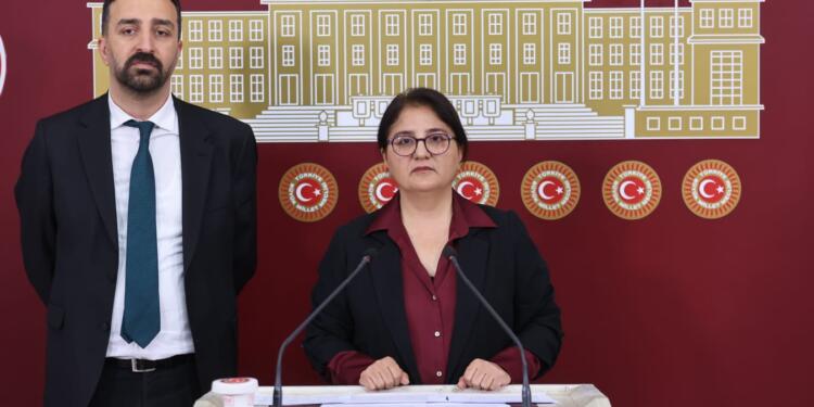 ‘Licik’teki maden felaketi geri dönüşü olmayan sonuçlar doğurdu’