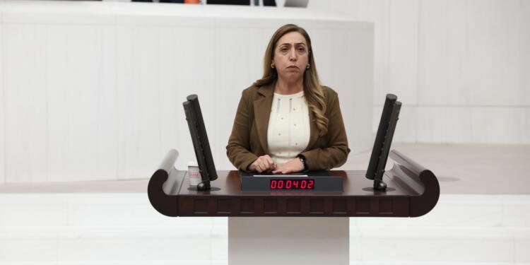 Saliha Aydeniz: Anadil hakkı pazarlık konusu yapılamaz