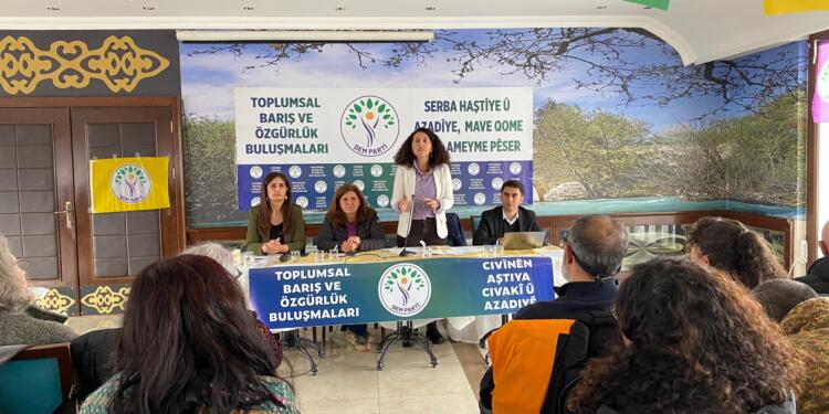 Dêrsim’de ‘Toplumsal barış ve özgürlük’ buluşması