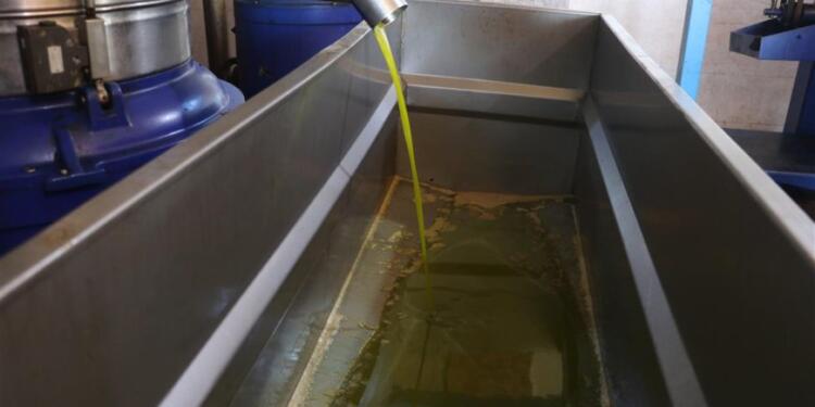 Hesekê’de ilk zeytin fabrikası açıldı