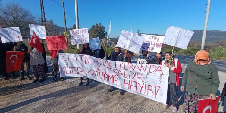 Çayırlılar ağaç kıyımına karşı eylemde