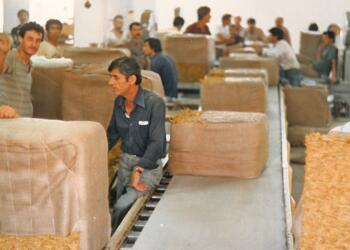 İzmir’de tütün fabrikasındaki işçiler greve gidiyor