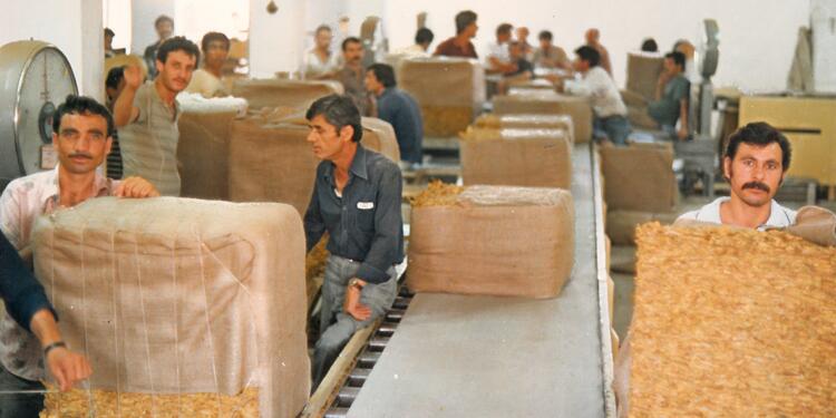 İzmir’de tütün fabrikasındaki işçiler greve gidiyor