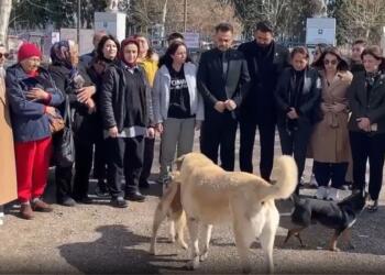 CREATOR: gd-jpeg v1.0 (using IJG JPEG v62), quality = 90