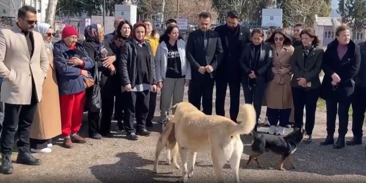 MHP’li belediyede ‘hayvan katliamı’ iddiası