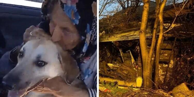 Ankara Barosu’ndan Ülker Güleryüz için başvuru